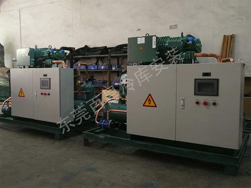 珠海鱸魚加工廠冷庫(kù)安裝 構(gòu)建高品質(zhì)、高安全性的食品儲(chǔ)存解決方案